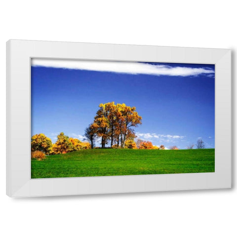 Meadows of Dan II White Modern Wood Framed Art Print by Hausenflock, Alan