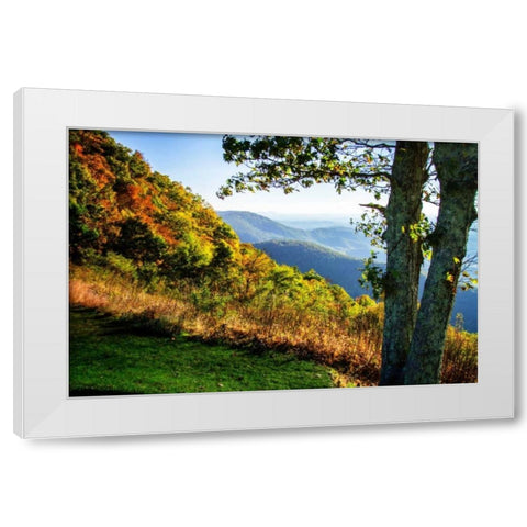 Approaching Autumn I White Modern Wood Framed Art Print by Hausenflock, Alan