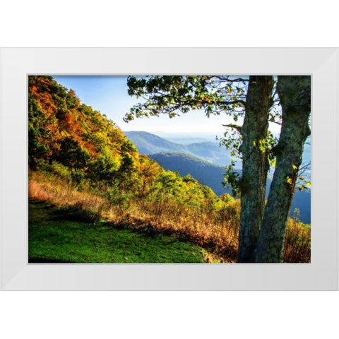 Approaching Autumn I White Modern Wood Framed Art Print by Hausenflock, Alan