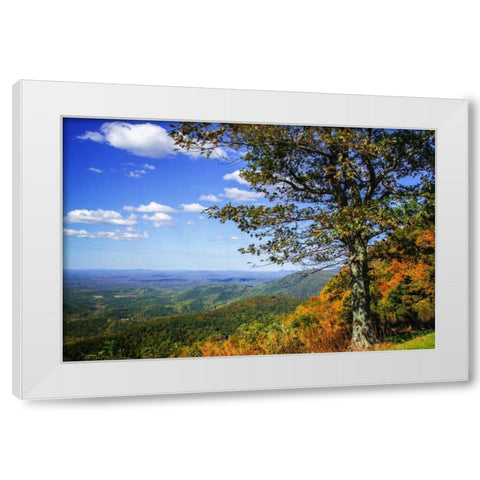 Approaching Autumn II White Modern Wood Framed Art Print by Hausenflock, Alan