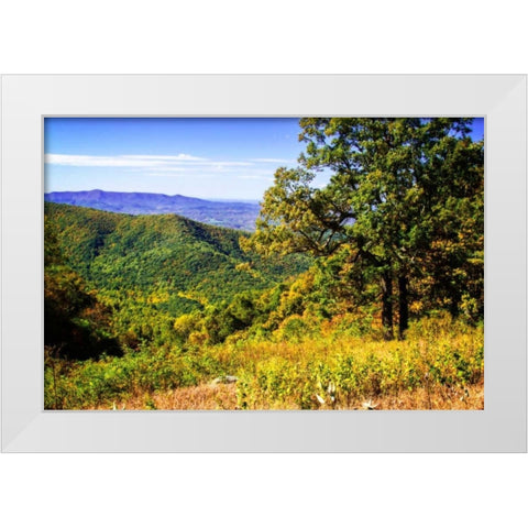 Approaching Autumn III White Modern Wood Framed Art Print by Hausenflock, Alan