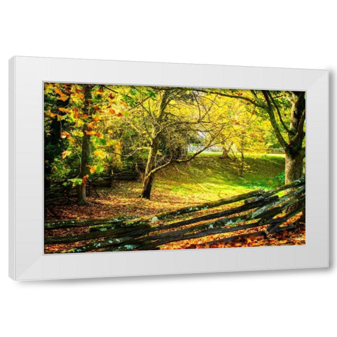 Backyard Color II White Modern Wood Framed Art Print by Hausenflock, Alan