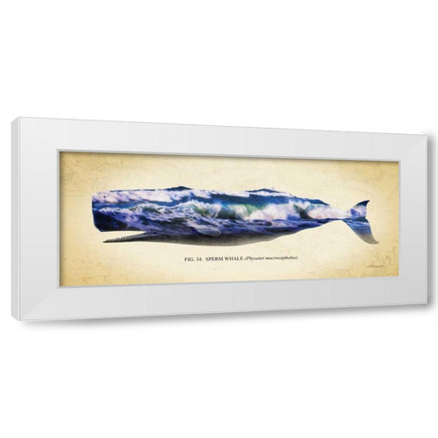 Sperm Whale White Modern Wood Framed Art Print by Hausenflock, Alan