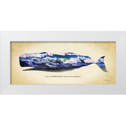Sperm Whale White Modern Wood Framed Art Print by Hausenflock, Alan