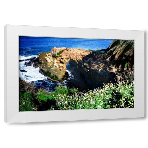 Goldfish Point I White Modern Wood Framed Art Print by Hausenflock, Alan