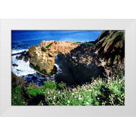 Goldfish Point I White Modern Wood Framed Art Print by Hausenflock, Alan