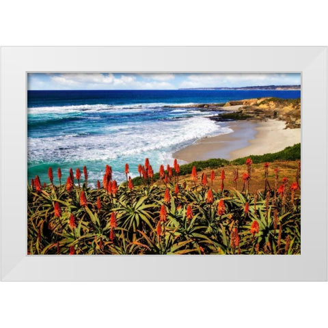 Point La Jolla I White Modern Wood Framed Art Print by Hausenflock, Alan