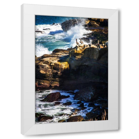 La Jolla Pelicans I White Modern Wood Framed Art Print by Hausenflock, Alan