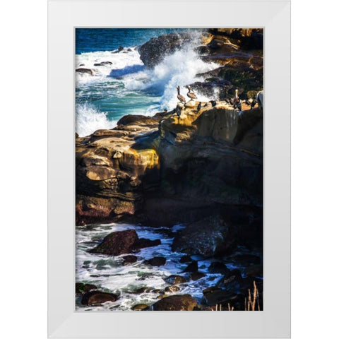 La Jolla Pelicans I White Modern Wood Framed Art Print by Hausenflock, Alan