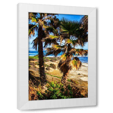 La Jolla Palms I White Modern Wood Framed Art Print by Hausenflock, Alan