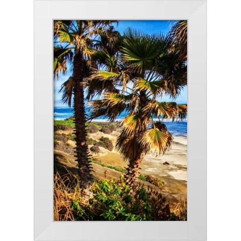 La Jolla Palms I White Modern Wood Framed Art Print by Hausenflock, Alan
