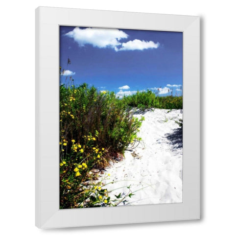 A Sandy Pathway I White Modern Wood Framed Art Print by Hausenflock, Alan