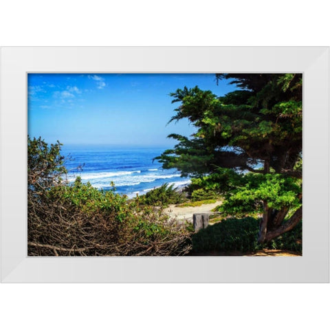 Del Mar Beach II White Modern Wood Framed Art Print by Hausenflock, Alan