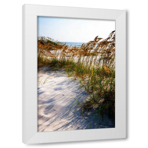Sea Oats and Shadow II White Modern Wood Framed Art Print by Hausenflock, Alan