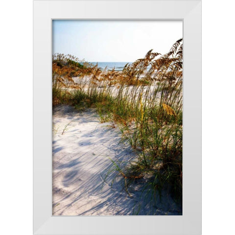 Sea Oats and Shadow II White Modern Wood Framed Art Print by Hausenflock, Alan
