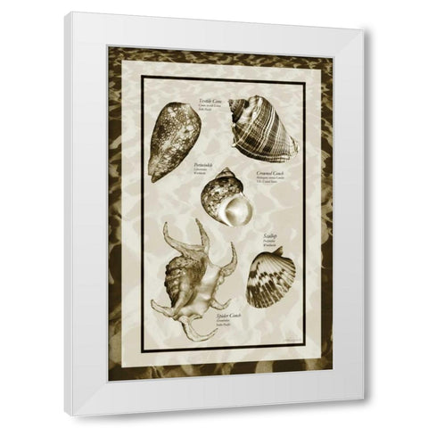 Sand and Shells I White Modern Wood Framed Art Print by Hausenflock, Alan