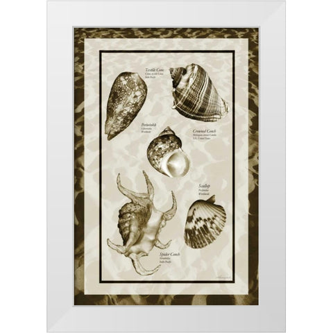 Sand and Shells I White Modern Wood Framed Art Print by Hausenflock, Alan