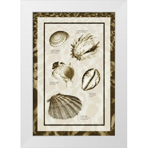 Sand and Shells II White Modern Wood Framed Art Print by Hausenflock, Alan