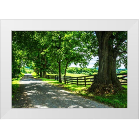 Cumberland County II White Modern Wood Framed Art Print by Hausenflock, Alan