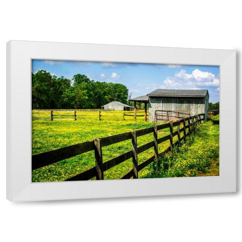 Spring Pasture II White Modern Wood Framed Art Print by Hausenflock, Alan