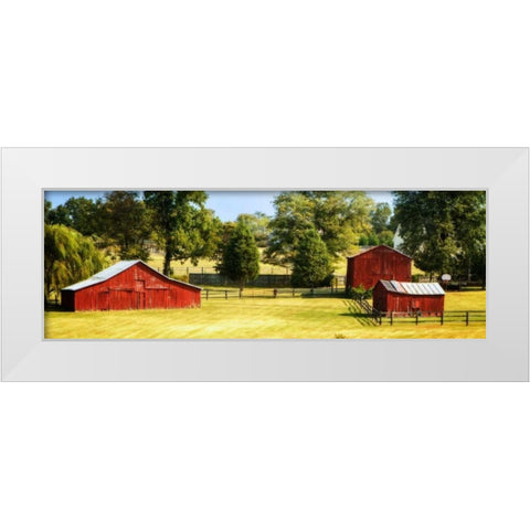 Louisa County I White Modern Wood Framed Art Print by Hausenflock, Alan