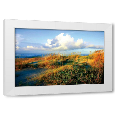 Dunes II White Modern Wood Framed Art Print by Hausenflock, Alan