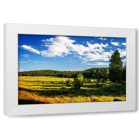 Arizona Ranch White Modern Wood Framed Art Print by Hausenflock, Alan