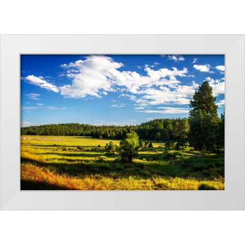 Arizona Ranch White Modern Wood Framed Art Print by Hausenflock, Alan
