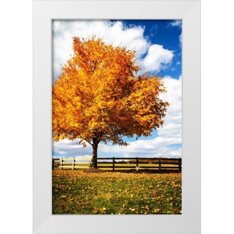 Trees of Gold II White Modern Wood Framed Art Print by Hausenflock, Alan