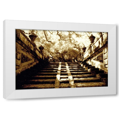 Vizcaya I White Modern Wood Framed Art Print by Hausenflock, Alan