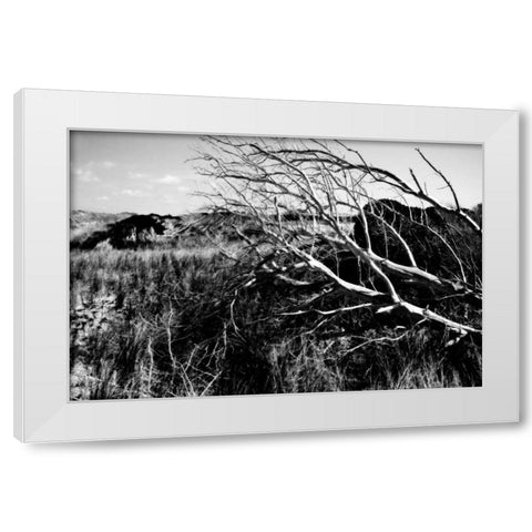 Bear Island II White Modern Wood Framed Art Print by Hausenflock, Alan