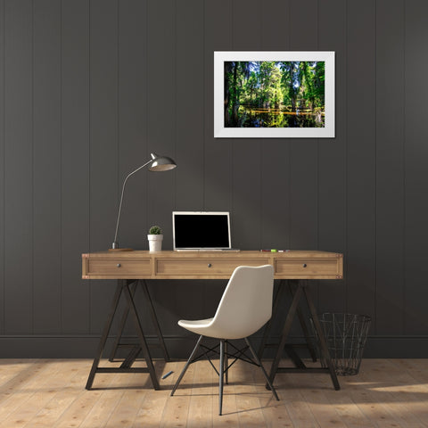 Cypress Pond I White Modern Wood Framed Art Print by Hausenflock, Alan