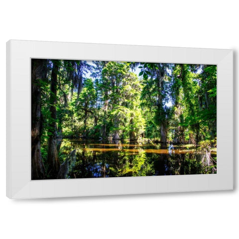 Cypress Pond I White Modern Wood Framed Art Print by Hausenflock, Alan