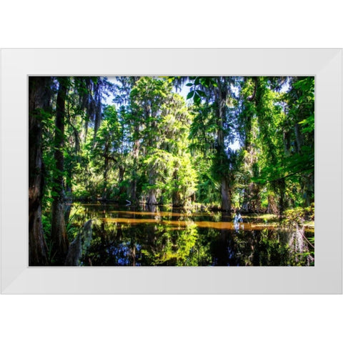 Cypress Pond I White Modern Wood Framed Art Print by Hausenflock, Alan