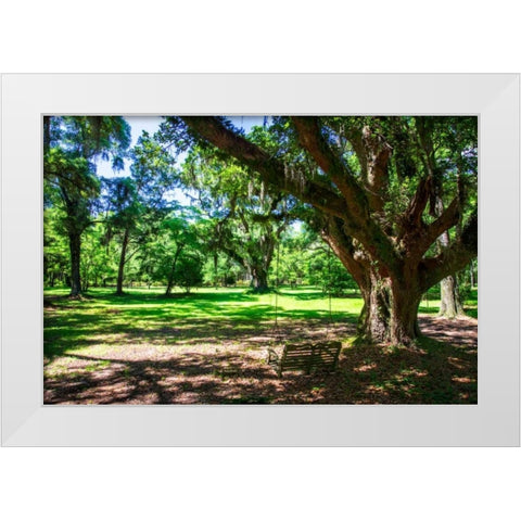 Summer Swing White Modern Wood Framed Art Print by Hausenflock, Alan