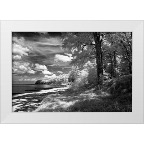 Tappahannock Shores II White Modern Wood Framed Art Print by Hausenflock, Alan