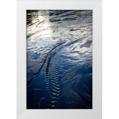 Water Etchings II White Modern Wood Framed Art Print by Hausenflock, Alan