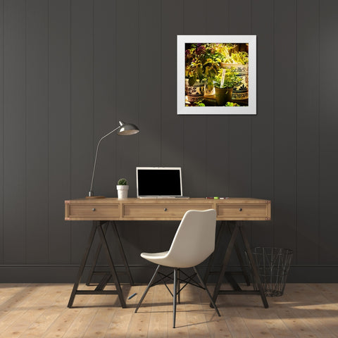 New April Garden II White Modern Wood Framed Art Print by Hausenflock, Alan