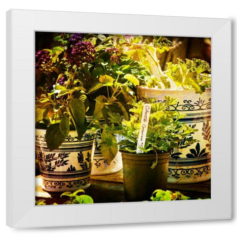 New April Garden II White Modern Wood Framed Art Print by Hausenflock, Alan