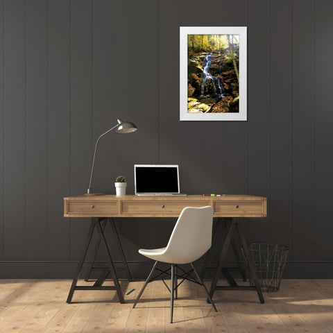 Autumn Waterfall II White Modern Wood Framed Art Print by Hausenflock, Alan