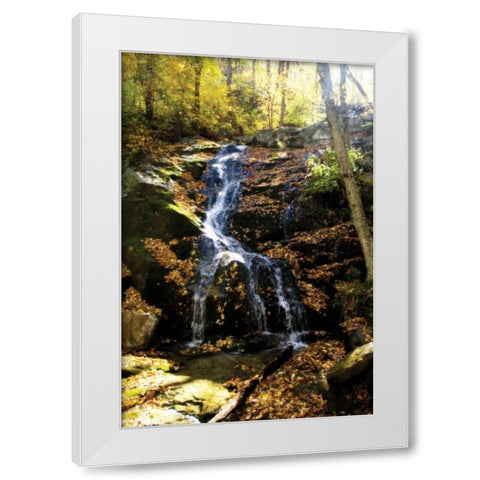 Autumn Waterfall II White Modern Wood Framed Art Print by Hausenflock, Alan