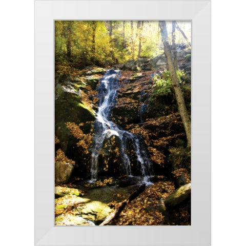 Autumn Waterfall II White Modern Wood Framed Art Print by Hausenflock, Alan