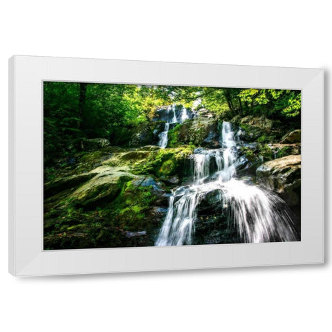 Dark Hollow Falls I White Modern Wood Framed Art Print by Hausenflock, Alan