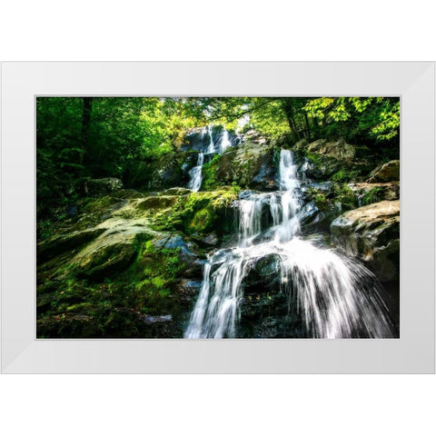 Dark Hollow Falls I White Modern Wood Framed Art Print by Hausenflock, Alan