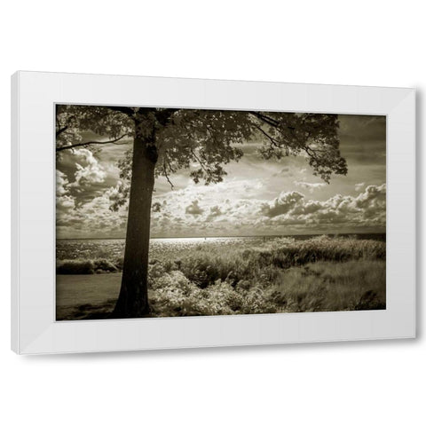 Cobb Island Afternoon I White Modern Wood Framed Art Print by Hausenflock, Alan