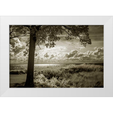 Cobb Island Afternoon I White Modern Wood Framed Art Print by Hausenflock, Alan