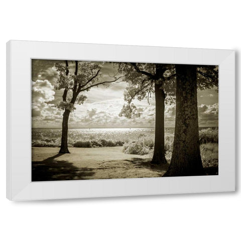 Cobb Island Afternoon II White Modern Wood Framed Art Print by Hausenflock, Alan