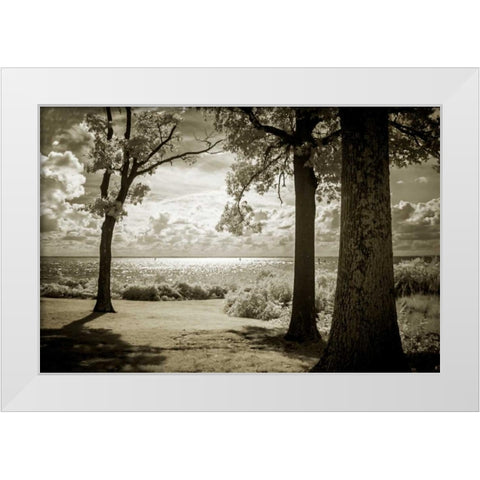 Cobb Island Afternoon II White Modern Wood Framed Art Print by Hausenflock, Alan