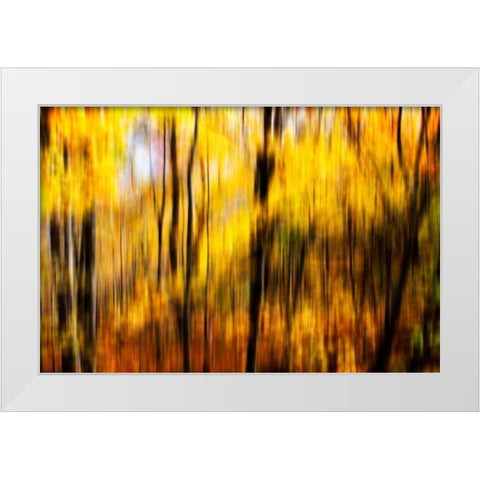 Autumn Impressions I White Modern Wood Framed Art Print by Hausenflock, Alan