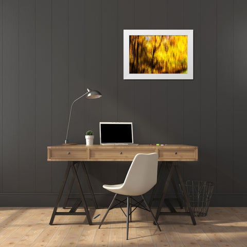 Autumn Impressions II White Modern Wood Framed Art Print by Hausenflock, Alan